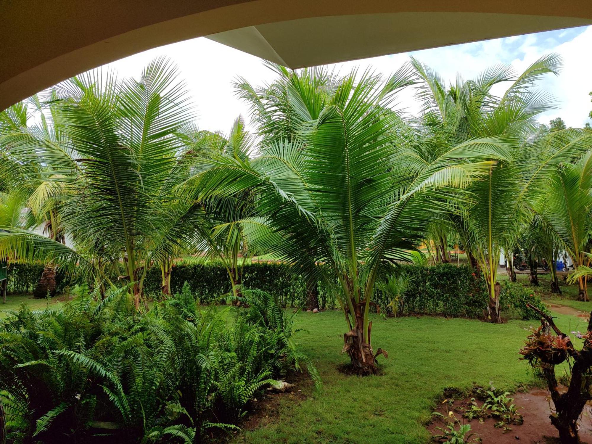 E&N Paradise Island Resort Siquijor Exterior photo
