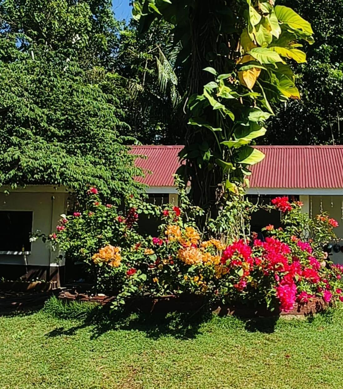 E&N Paradise Island Resort Siquijor Exterior photo
