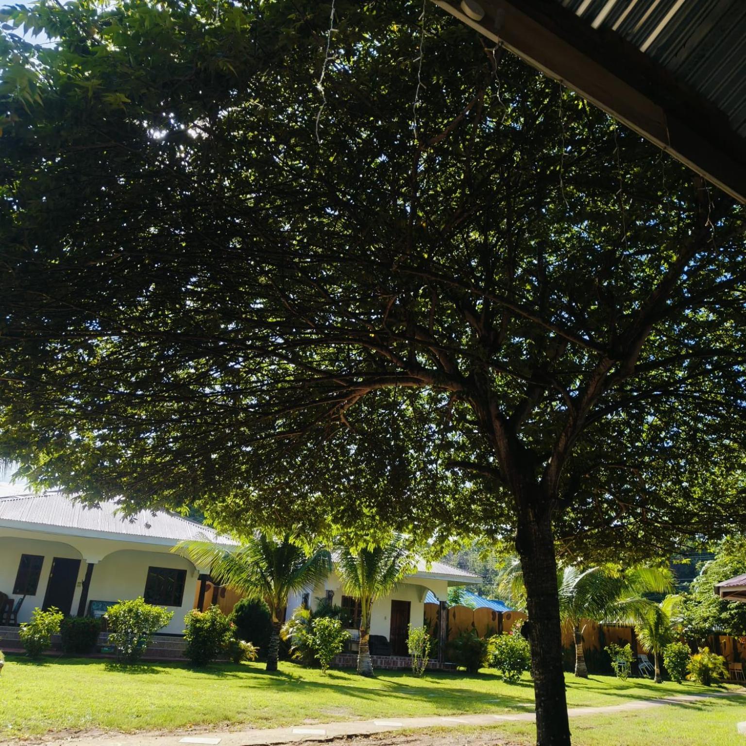 E&N Paradise Island Resort Siquijor Exterior photo